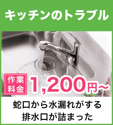 キッチン（台所）の蛇口の水漏れ修理 上京区