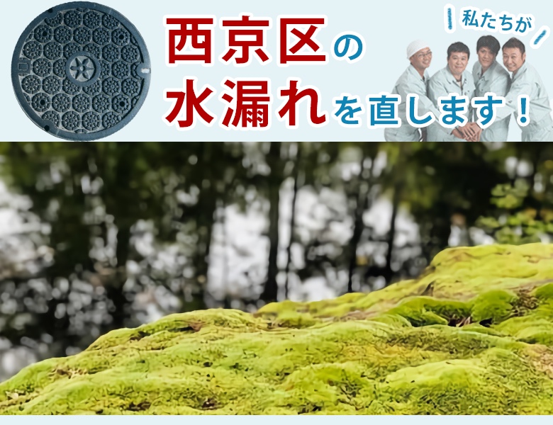 西京区 水漏れ修理 水道蛇口・キッチン（台所）・トイレ・洗面所・お風呂